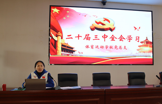 球速体育平台图片
