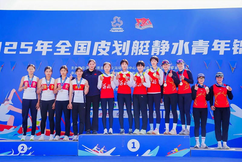 球速体育平台图片