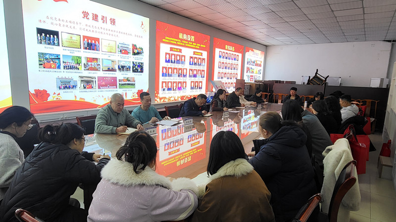 球速体育稳定线路图片